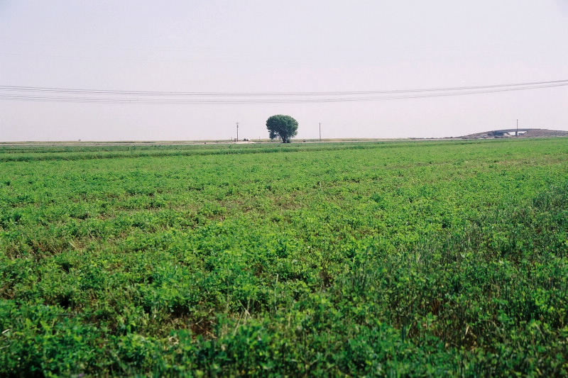 Learn More - Farm Scape Biosolids