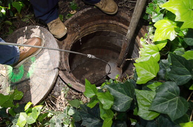 Sewers 5