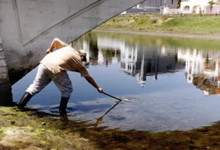 wpd_environmental monitoring_envtesting