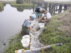 wpd_environmental monitoring_envsamp2