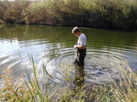 wpd_environmental monitoring_carousel b_4