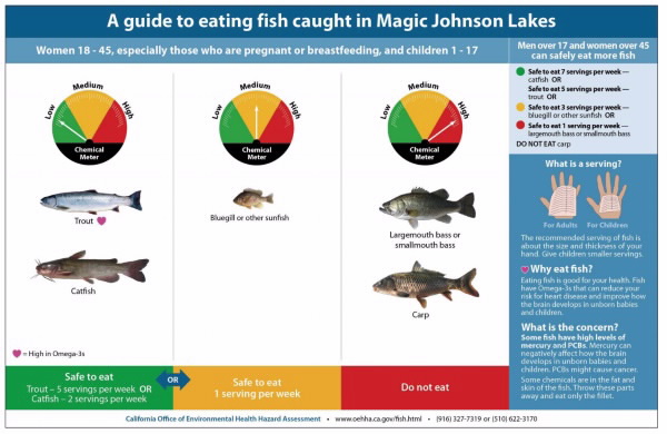 Fish from Magic Johnson lake resize