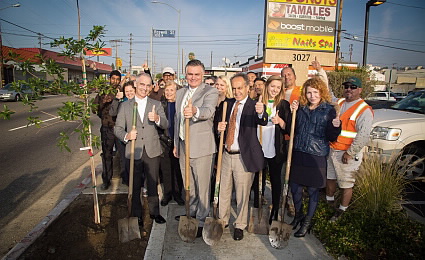 plant a street tree_family