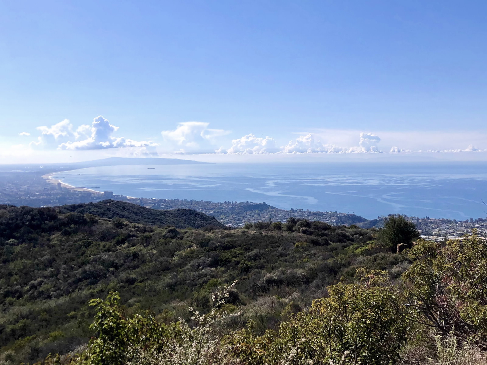 Views of Santa Monica Bay (Photo: Michelle Barton)