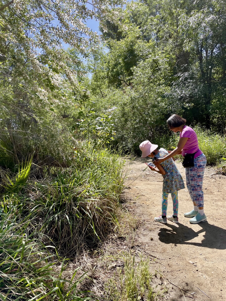 A mother and daughter using the iNaturalist app at the 2022 Earth Day Bioblitz event (Photo: Michelle Barton)
