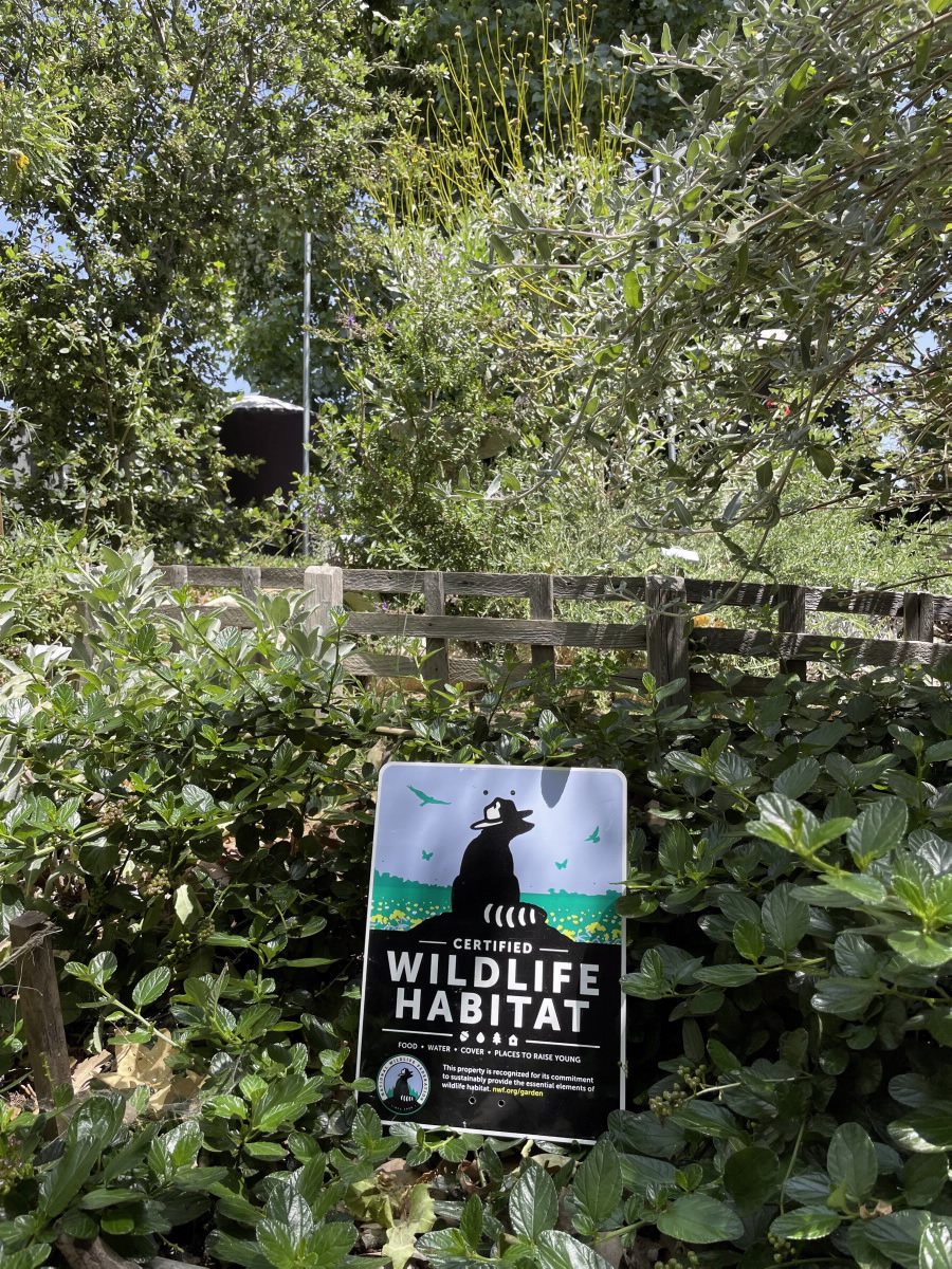 This beautifully landscaped yard has been certified by the National Wildlife Federation as Wildlife Habitat (Photo: Michelle Barton)