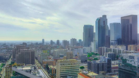 LA City Landscape