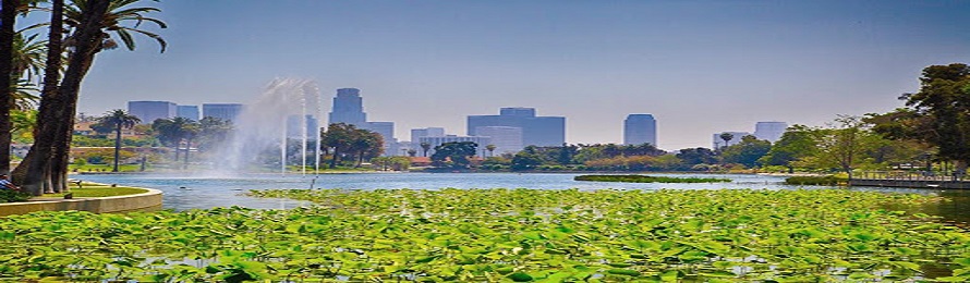 climate_action_hero_image_890x260