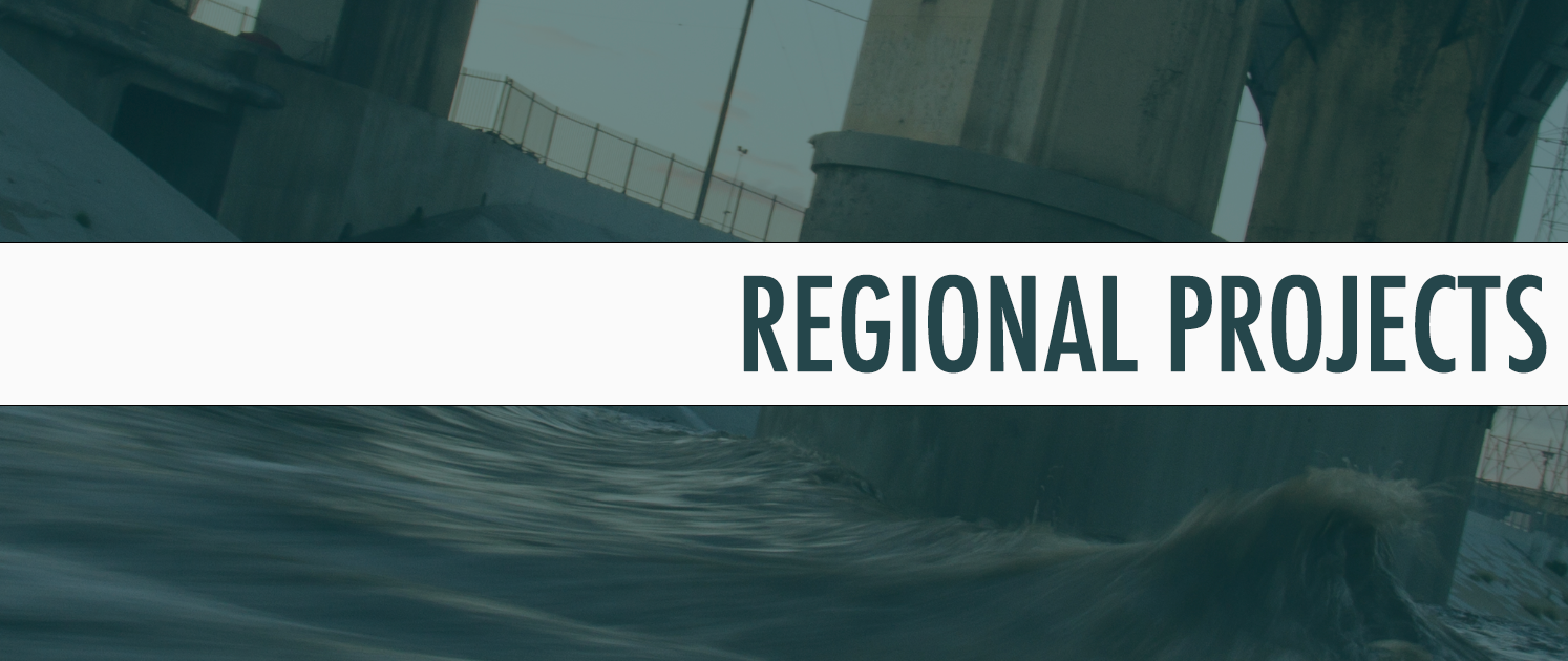 Regional Landing Icon