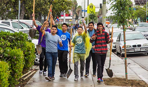 Trees - Community Members carrying Shovel