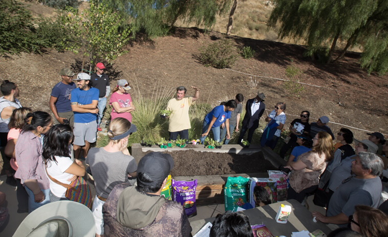 Free
        Composting Workshops - Organics