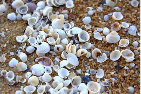 Protection of fossils and cultural artifacts