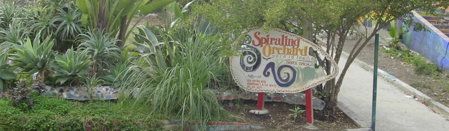 Brownfileds Program 8