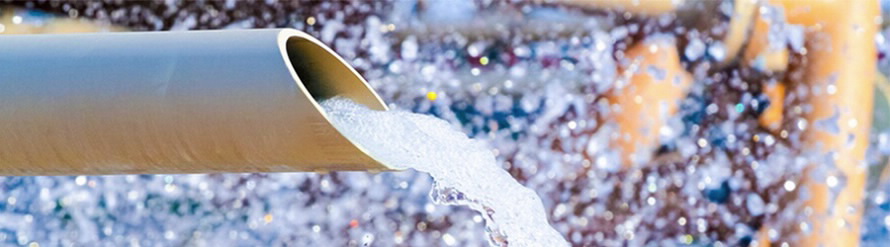 SCWP - FAQsHero900x250px