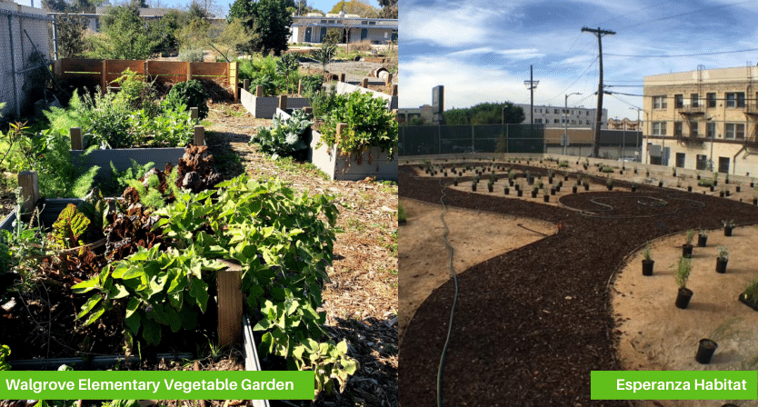 Walgrove Elem and Esperanza 400x215 habitat