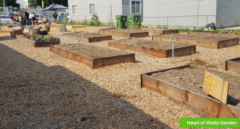 Heart of Watts 400x215 habitat
