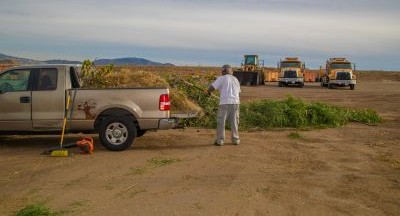 Lopez Canyon Green Waste Recycling and Disposal