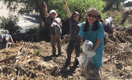Volunteer Cleanup 425x260
