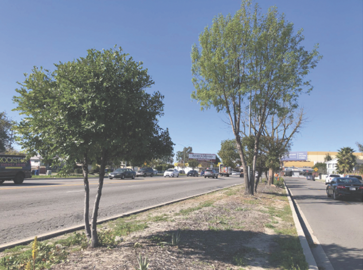 Victory-Goodland Green Street -2 Footer Image